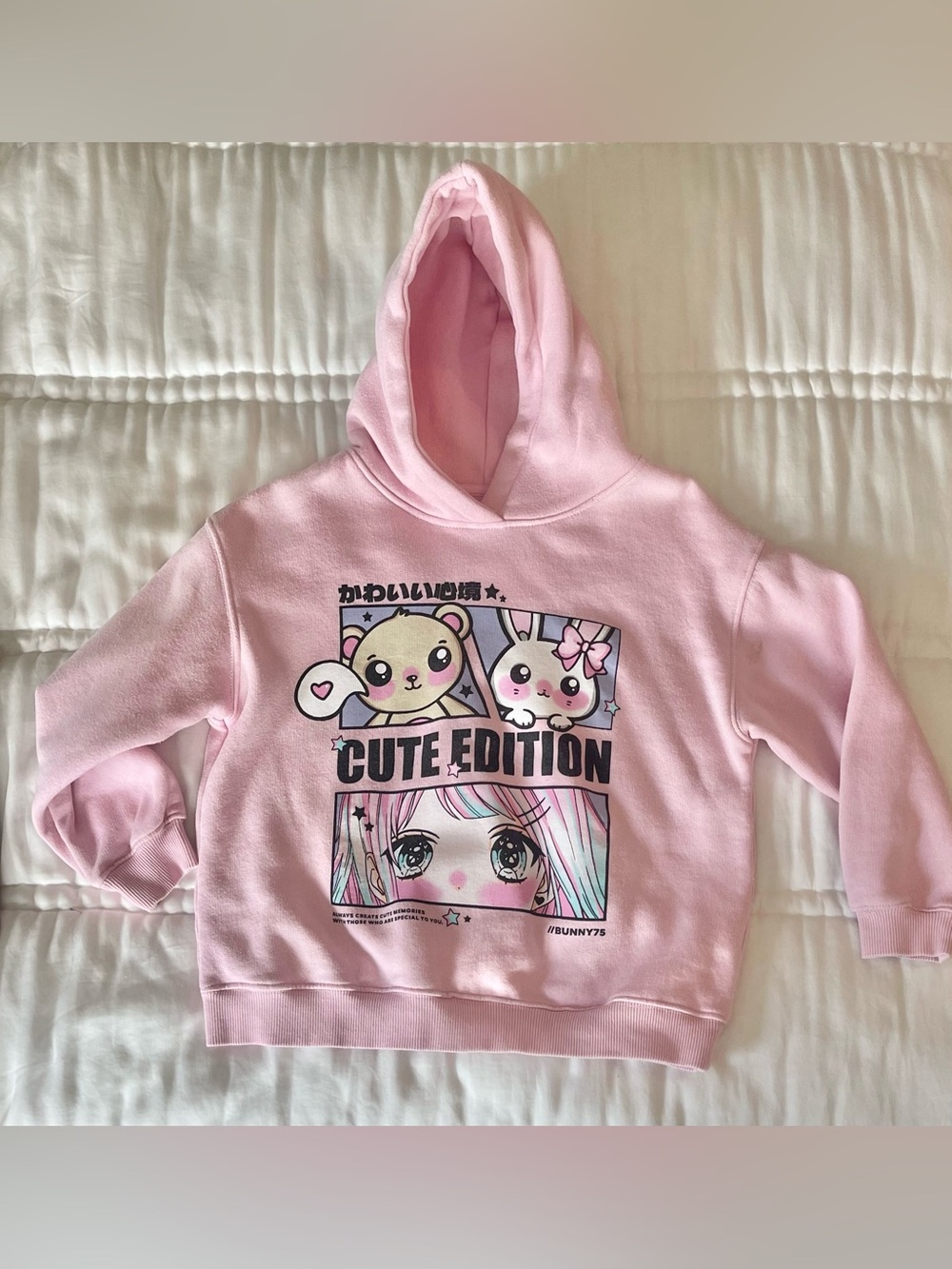 Zara Kids - Cute Edition Pink Hoodie Sweatshirt